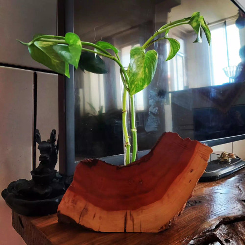گلدان چوبی شیشه ای روستیک